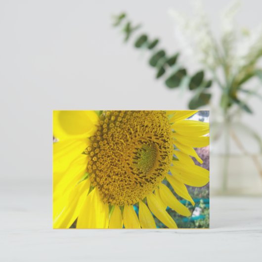 Sonnenblume Postkarte (Stehend Vorderseite)