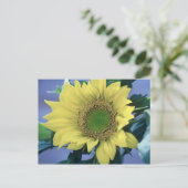 Sonnenblume Postkarte (Stehend Vorderseite)