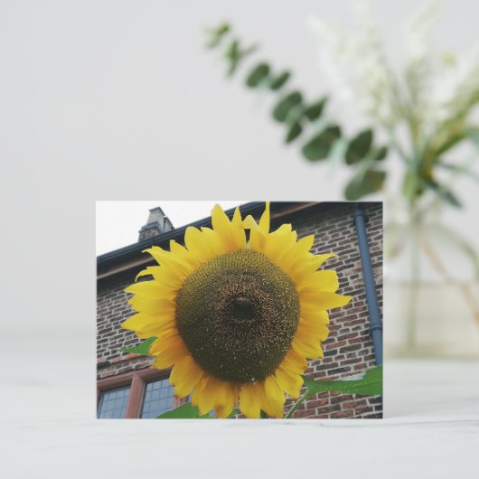 Sonnenblume Postkarte (Stehend Vorderseite)