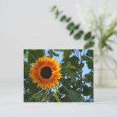 Sonnenblume-Postkarte Postkarte (Stehend Vorderseite)
