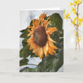 Sonnenblume Power Geburtstagskarte Karte (Gelbe Blume)