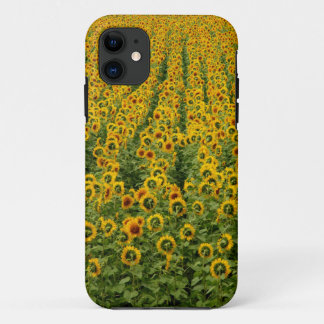 Sonnenblume-Power iPhone Fall Case-Mate iPhone Hülle