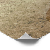 Sonnenblume Power Poster (Ecke)