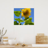 Sonnenblume Power Poster (Küche)