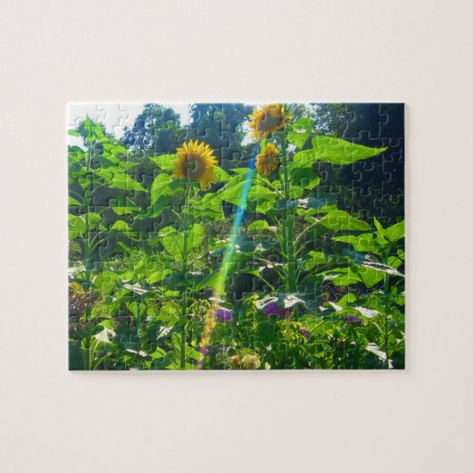 Sonnenblume-Power-Puzzlespiel Puzzle (Horizontal)