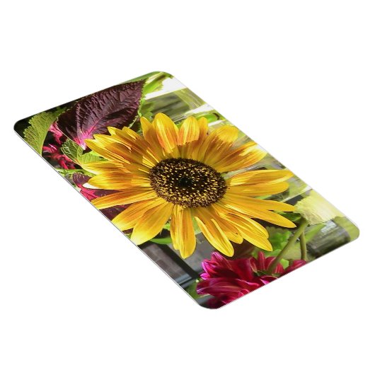 Sonnenblume Premium Flexi Magnet (Rechte Seite)