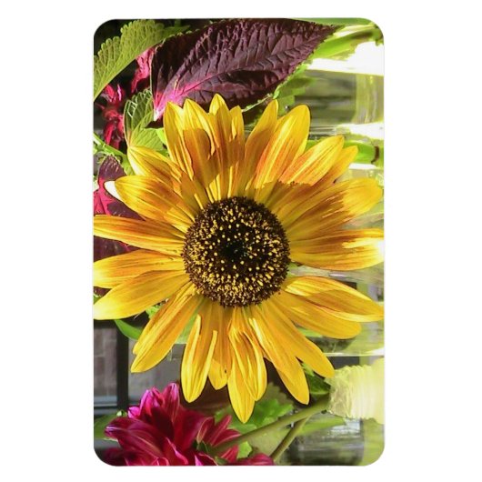 Sonnenblume Premium Flexi Magnet (Vertikal)