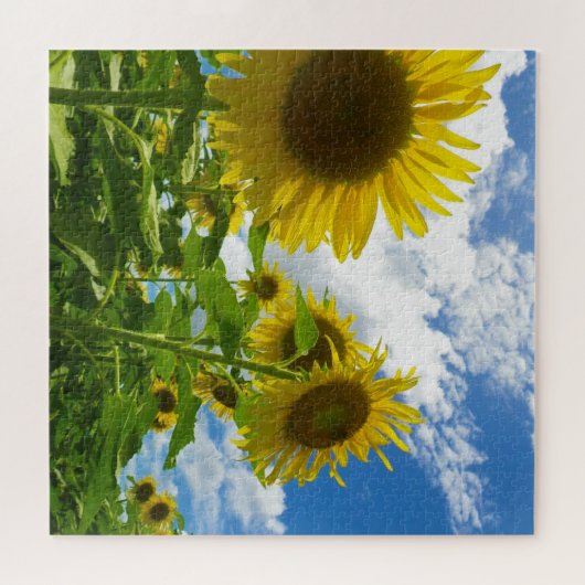 Sonnenblume Puzzle (Horizontal)