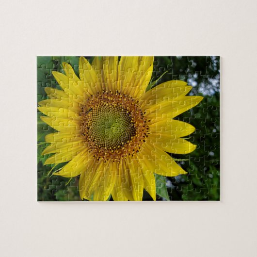 Sonnenblume Puzzle (Horizontal)
