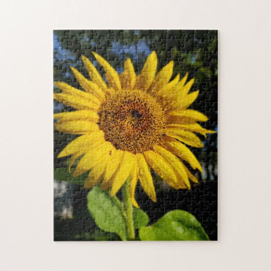 Sonnenblume Puzzle (Vertikal)