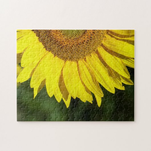 Sonnenblume Puzzle (Horizontal)