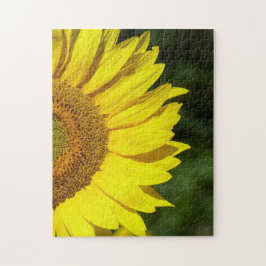 Sonnenblume Puzzle