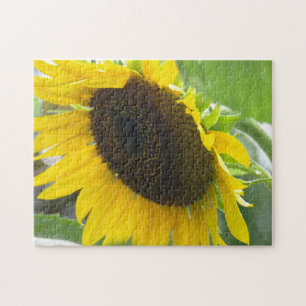 Sonnenblume Puzzle