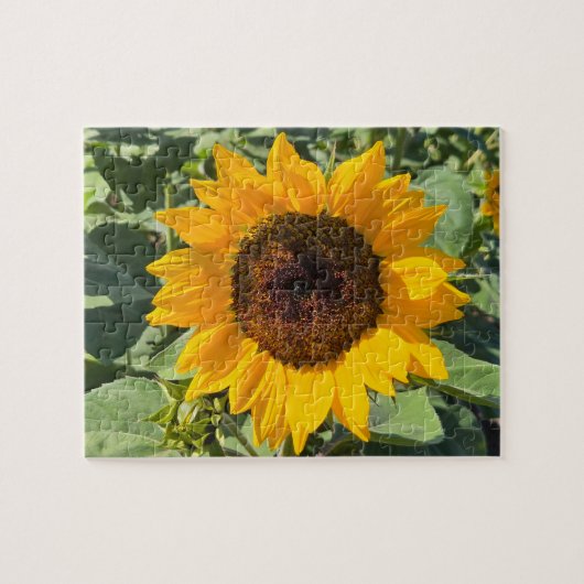 Sonnenblume Puzzle (Horizontal)