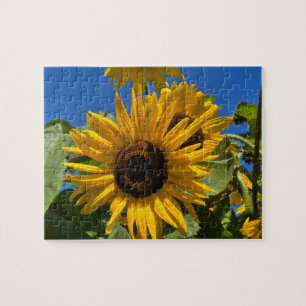 Sonnenblume Puzzle