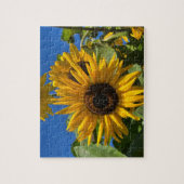 Sonnenblume Puzzle (Vertikal)