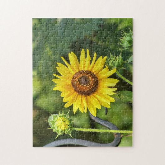 Sonnenblume Puzzle (Vertikal)