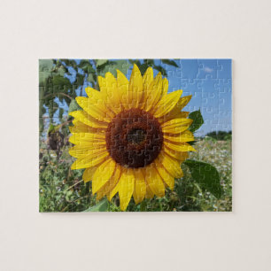 Sonnenblume Puzzle