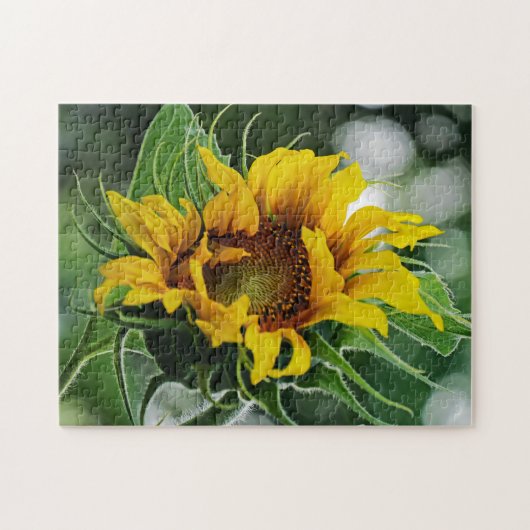 Sonnenblume Puzzle (Horizontal)