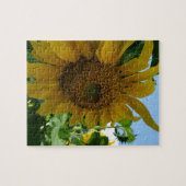 Sonnenblume Puzzle (Horizontal)