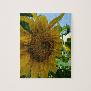 Sonnenblume Puzzle