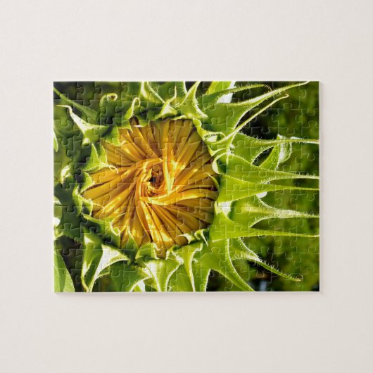 Sonnenblume Puzzle (Horizontal)