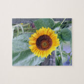 Sonnenblume Puzzle (Horizontal)