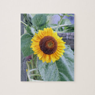 Sonnenblume Puzzle
