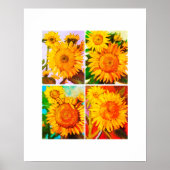 Sonnenblume Quad Poster (Vorne)