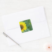 Sonnenblume Quadratischer Aufkleber (Umschlag)