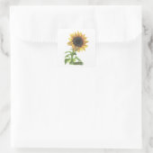Sonnenblume Quadratischer Aufkleber (Tasche)