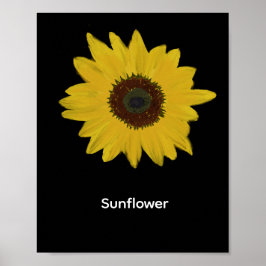 Sonnenblume Rechteckiges Poster