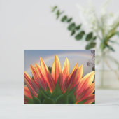 Sonnenblume Regenbogen ~ Postkarte (Stehend Vorderseite)