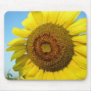 Sonnenblume-Reihe Mousepad