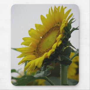 Sonnenblume-Reihe Mousepad