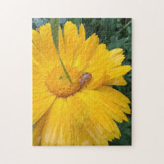 Sonnenblume Ringelblume blüht mit kleinem Besucher Puzzle