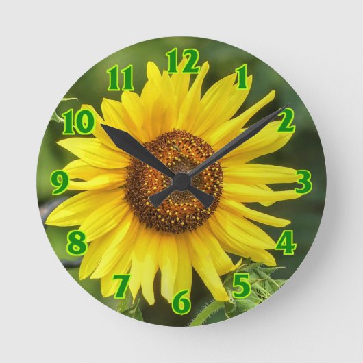 Sonnenblume Runde Wanduhr (Vorderseite)