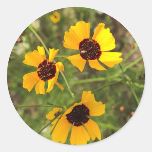 Sonnenblume Runder Aufkleber (Vorderseite)