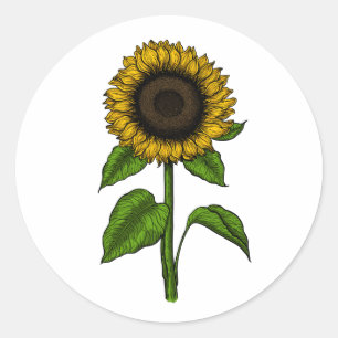 Sonnenblume Runder Aufkleber