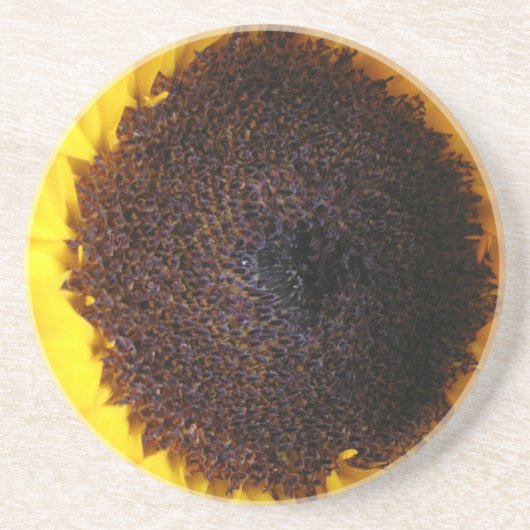 Sonnenblume Sandstone Untersetzer (Vorne)