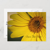 Sonnenblume Save the Date Postkarte (Vorne/Hinten)