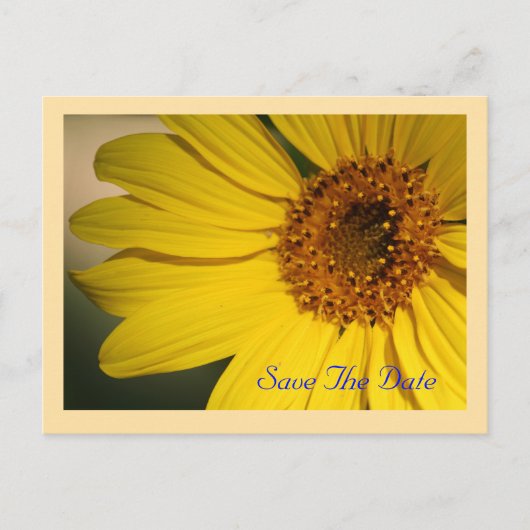 Sonnenblume Save The Date Postkarte (Vorderseite)