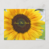 Sonnenblume Save the Date Postkarte (Vorderseite)