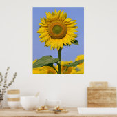Sonnenblume schließen poster (Küche)