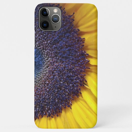 Sonnenblume schließen selten gibt es Handy-Fall Case-Mate iPhone Hülle (Rückseite)