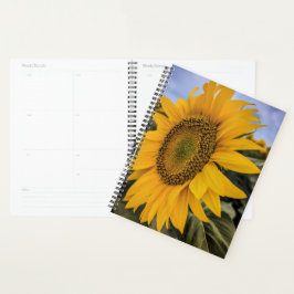 Sonnenblume-Schließplaner Planer