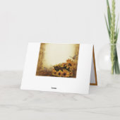 Sonnenblume Schmetterlingskörbe Blume Hinweis Karte (Rückseite)