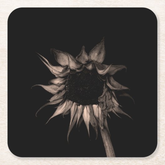 Sonnenblume - Schöne Coole Kunst Rechteckiger Pappuntersetzer (Vorderseite)