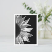 Sonnenblume-Schwarzes u. Weiß Postkarte (Stehend Vorderseite)