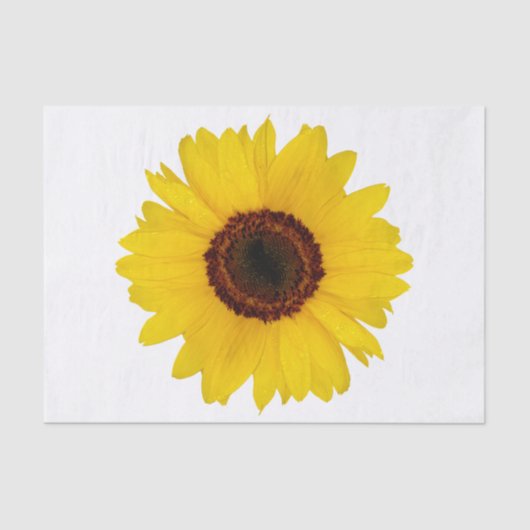 Sonnenblume Seidenpapier (Vorderseite)